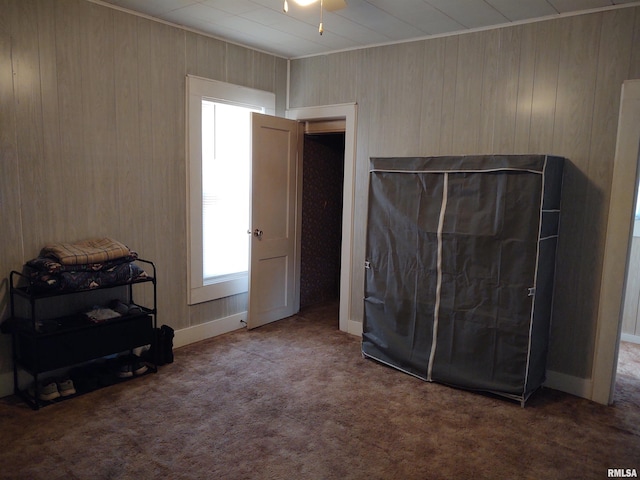 interior space with carpet flooring and wood walls