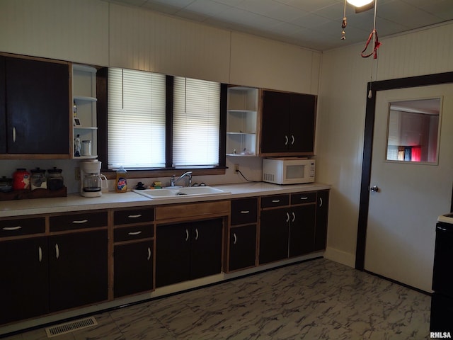 7280 Buncombe Rd, Buncombe, IL 62912 - kitchen featuring light countertops, open shelves, a sink, and white microwave