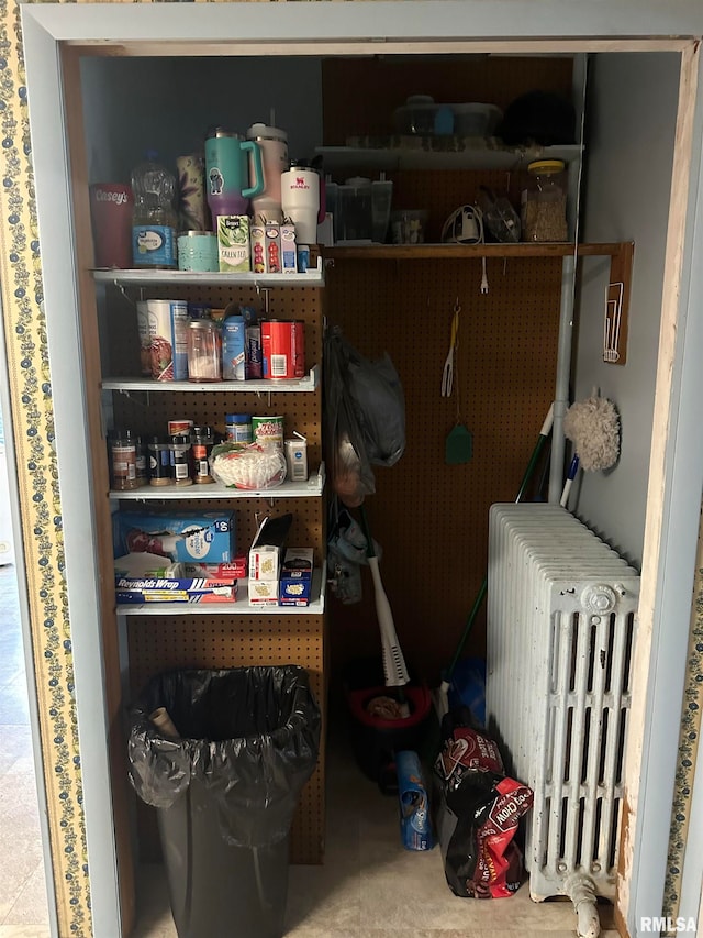 storage area featuring radiator heating unit