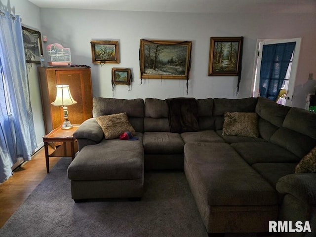 living room featuring hardwood / wood-style floors