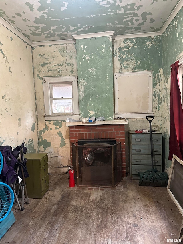 miscellaneous room with crown molding, wood-type flooring, and a fireplace