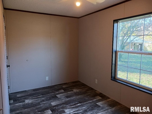 unfurnished room with dark wood-type flooring, a textured ceiling, and plenty of natural light