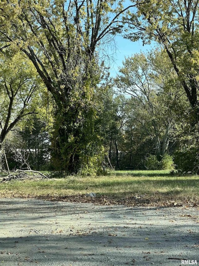 1409 S Pine St, Centralia, IL 62801