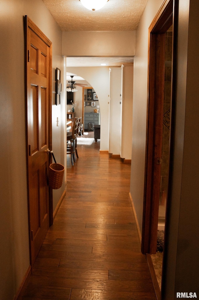 corridor featuring a textured ceiling and dark hardwood / wood-style flooring