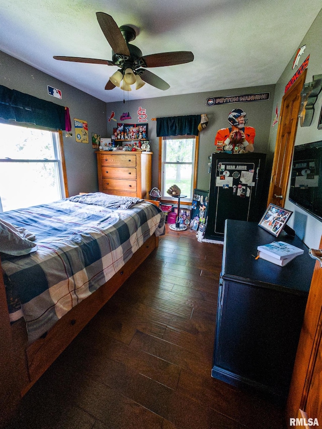 bedroom featuring dark wood-type flooring, multiple windows, and ceiling fan