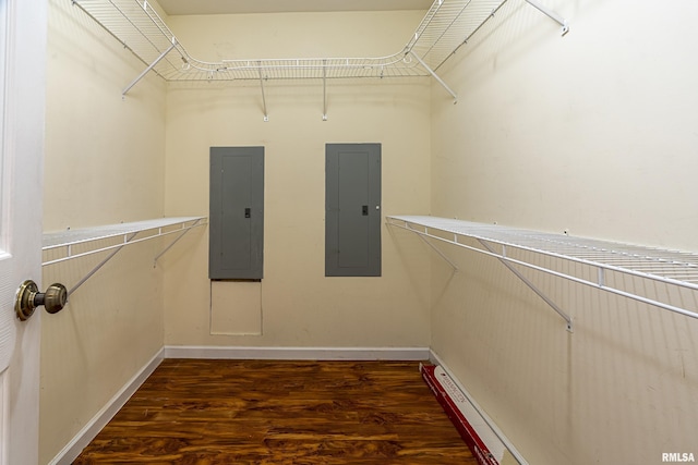 spacious closet with electric panel and dark hardwood / wood-style flooring