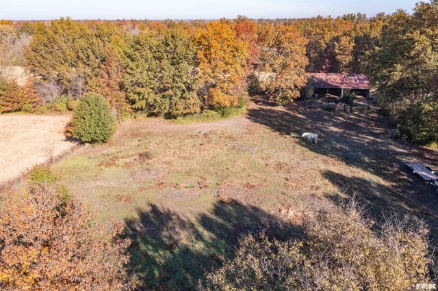 2857 State Route 161st Hwy, Centralia, IL 62801 - view from above of property featuring a heavily wooded area