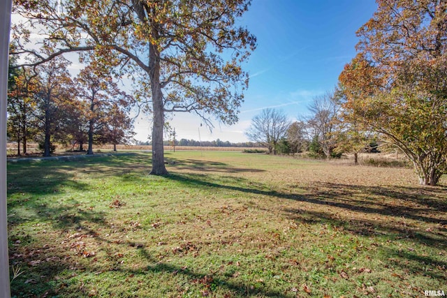 2857 State Route 161st Hwy, Centralia, IL 62801 - view of green lawn