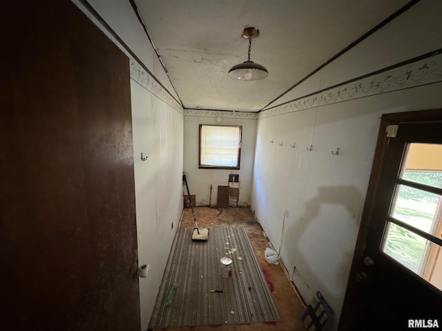 miscellaneous room featuring lofted ceiling and plenty of natural light