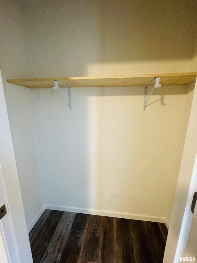 spacious closet with dark wood-type flooring