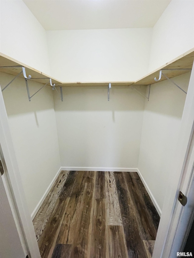 spacious closet featuring wood-type flooring