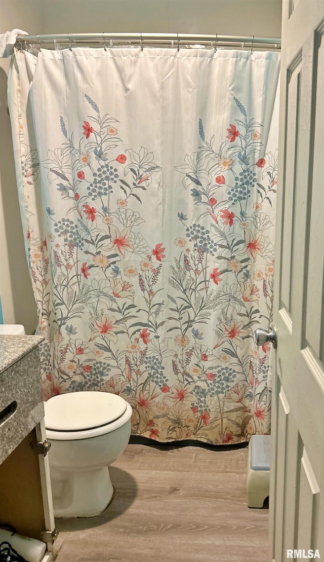 bathroom with toilet, vanity, and hardwood / wood-style floors