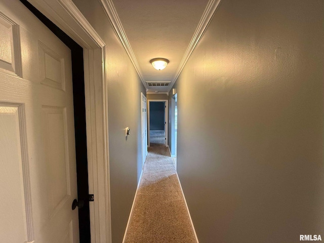 hallway featuring ornamental molding and carpet