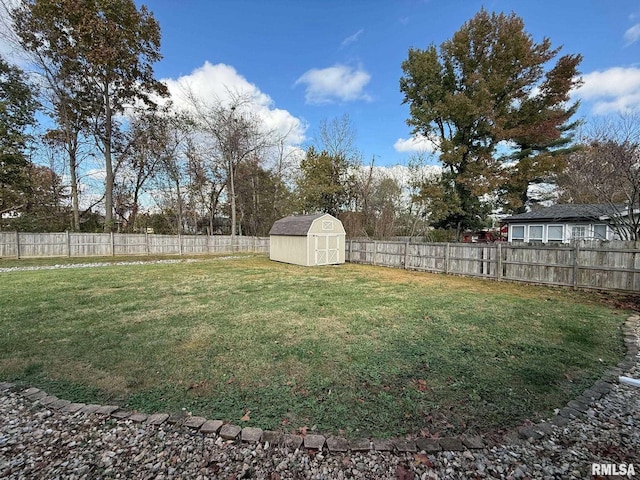 view of yard with a shed