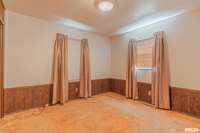 spare room featuring wood walls and carpet