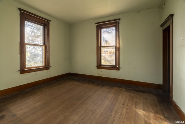 1250 E Park St, Carbondale, IL 62901 - photo 16