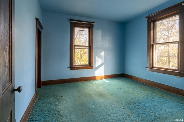 1250 E Park St, Carbondale, IL 62901 - photo 17