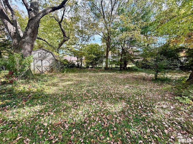 view of yard with a storage unit