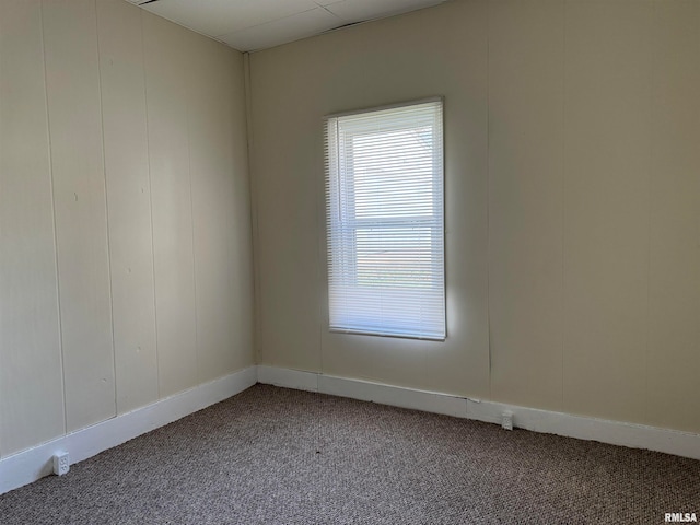 unfurnished room featuring carpet