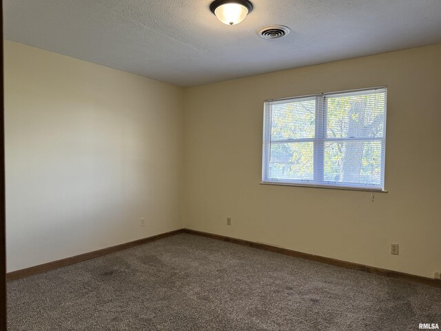 106 S 10th St, Vienna, IL 62995 - photo 14