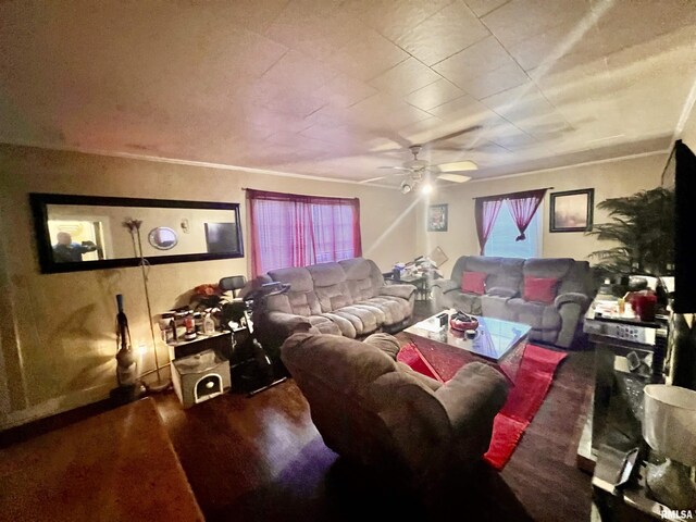 416 S Washington St, Carbondale, IL 62901 - living room featuring wood finished floors, ceiling fan, and plenty of natural light