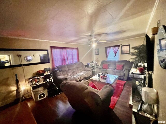 416 S Washington St, Carbondale, IL 62901 - living room featuring ceiling fan and wood finished floors
