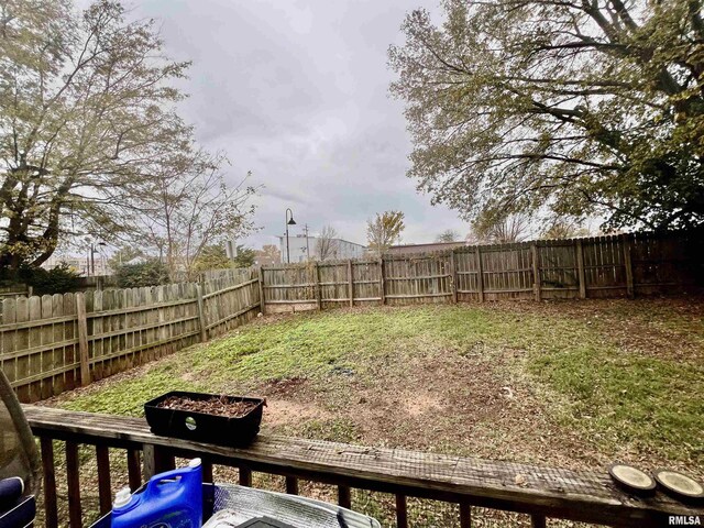 416 S Washington St, Carbondale, IL 62901 - view of yard