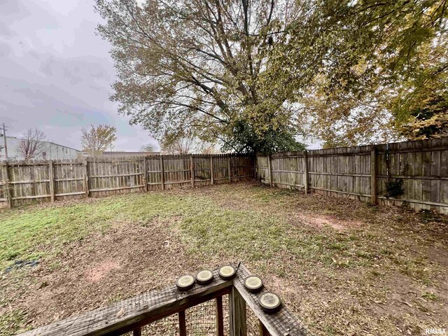 416 S Washington St, Carbondale, IL 62901 - view of fenced backyard