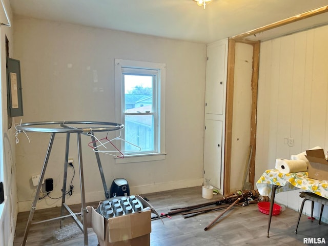 miscellaneous room with electric panel and wood-type flooring