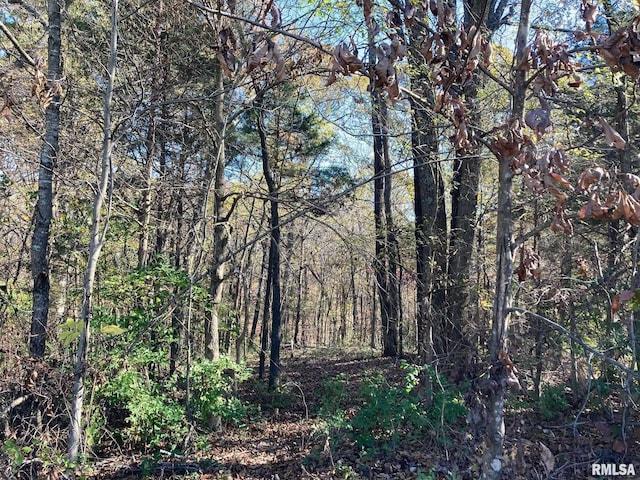 view of local wilderness