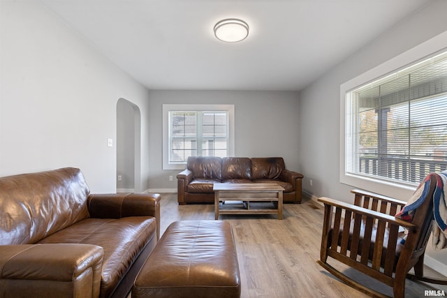 living room with light hardwood / wood-style flooring