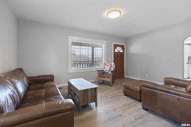 living room featuring light hardwood / wood-style floors