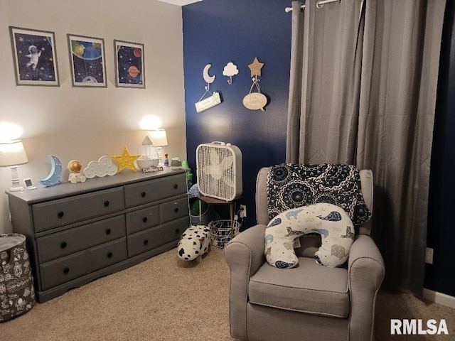 506 N Locust St, Sesser, IL 62884 - living area featuring carpet