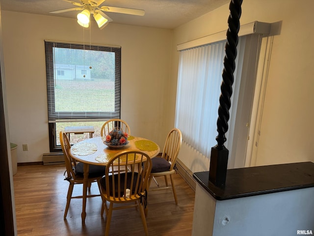 309 E Gelston St, Valier, IL 62891 - dining area featuring plenty of natural light, ceiling fan, wood finished floors, and a baseboard heating unit