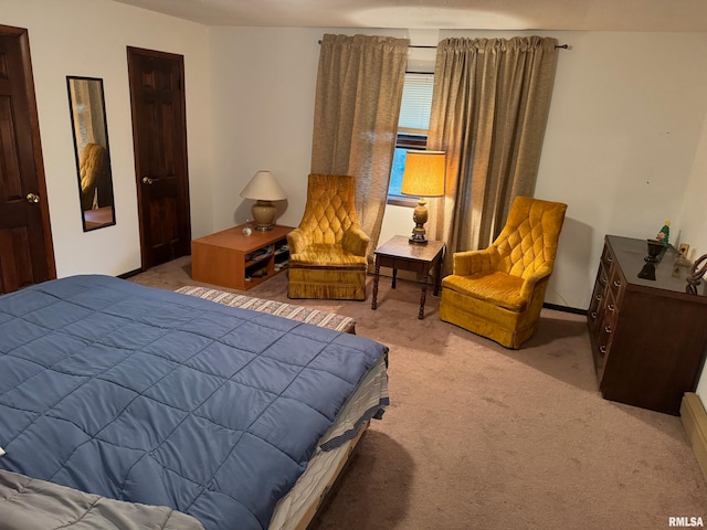 bedroom with carpet floors