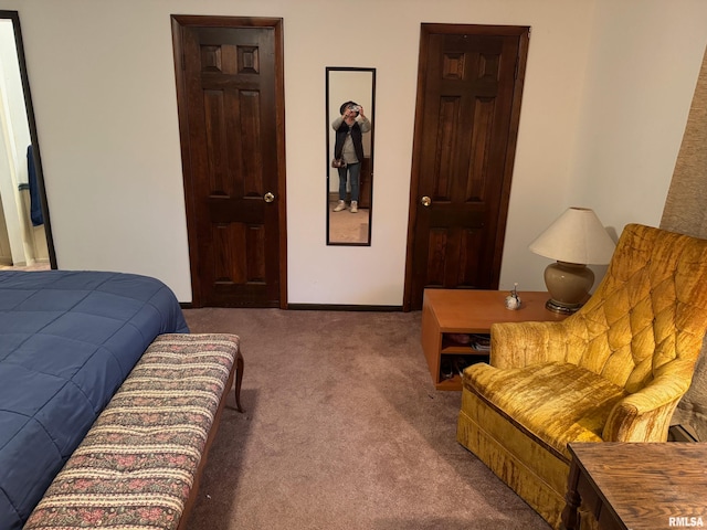 view of carpeted bedroom