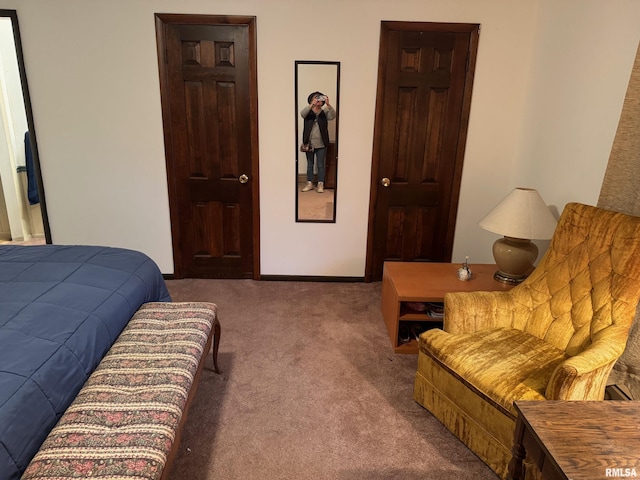 309 E Gelston St, Valier, IL 62891 - view of carpeted bedroom