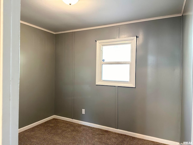 empty room with carpet floors and ornamental molding