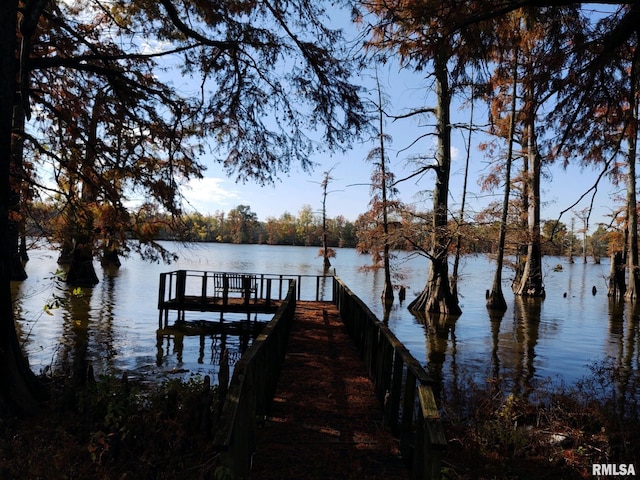 20366 Noisy Goose Ln, Olive Branch, IL 62969 - dock featuring a water view