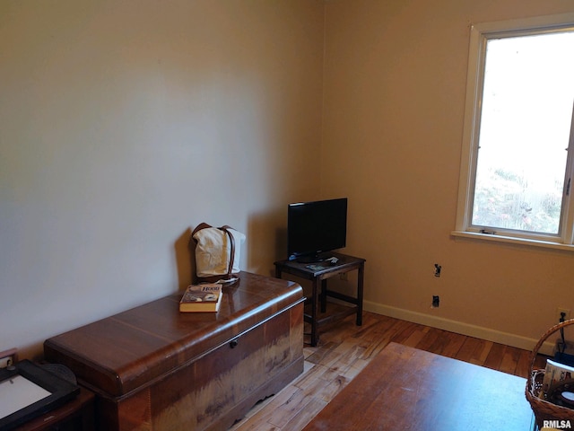 20366 Noisy Goose Ln, Olive Branch, IL 62969 - sitting room with light wood-type flooring and baseboards