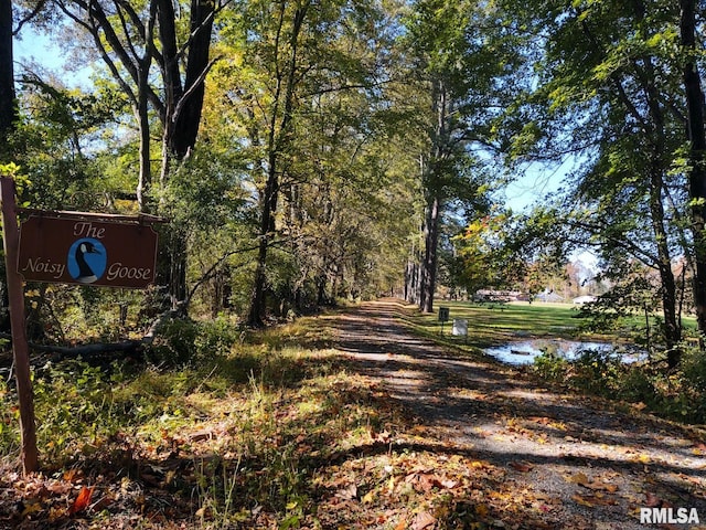 20366 Noisy Goose Ln, Olive Branch, IL 62969 - view of road