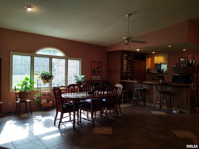 20366 Noisy Goose Ln, Olive Branch, IL 62969 - dining room with a ceiling fan