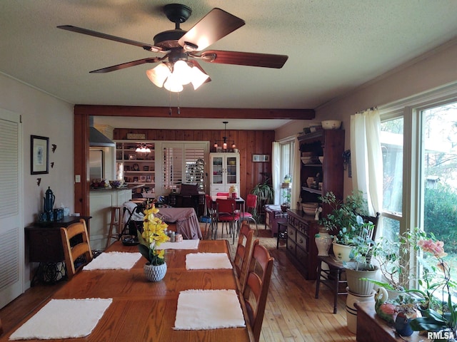 20366 Noisy Goose Ln, Olive Branch, IL 62969 - dining room featuring light wood-type flooring, ceiling fan, and a textured ceiling