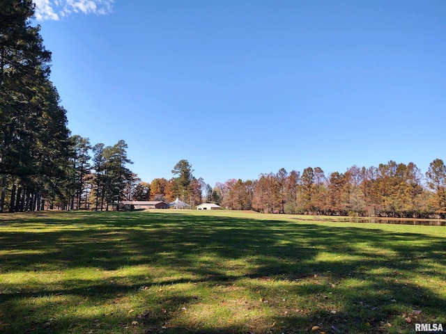 20366 Noisy Goose Ln, Olive Branch, IL 62969 - surrounding community with a lawn