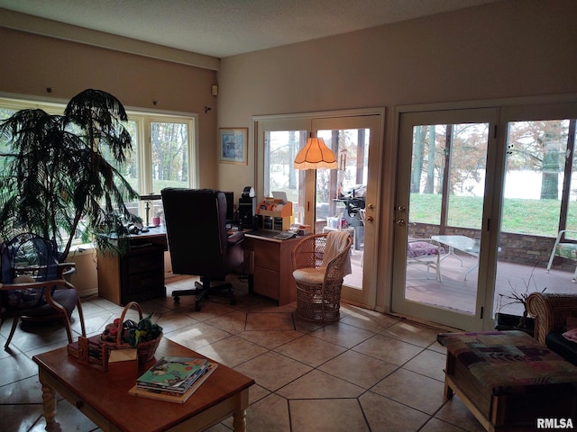 20366 Noisy Goose Ln, Olive Branch, IL 62969 - office area with light tile patterned floors