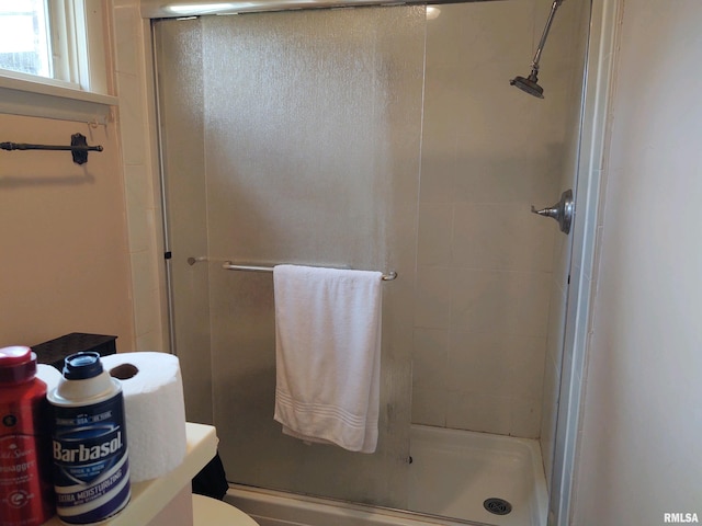 20366 Noisy Goose Ln, Olive Branch, IL 62969 - bathroom featuring a stall shower and toilet