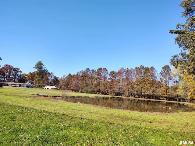 20366 Noisy Goose Ln, Olive Branch, IL 62969 - view of green lawn with a water view and a view of trees
