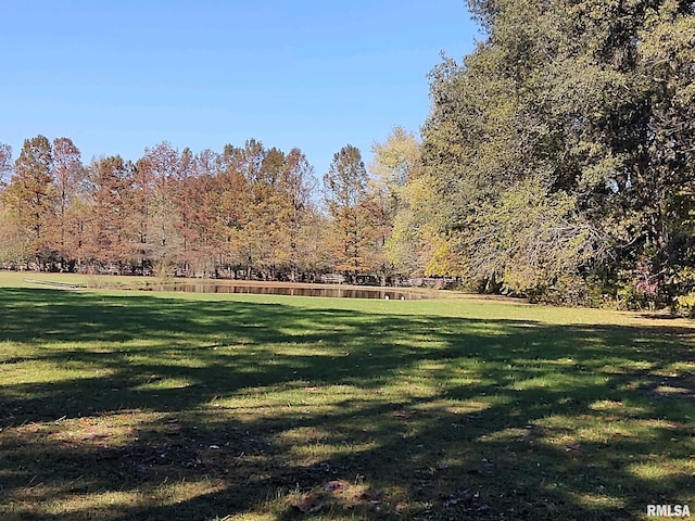 20366 Noisy Goose Ln, Olive Branch, IL 62969 - view of community featuring a lawn