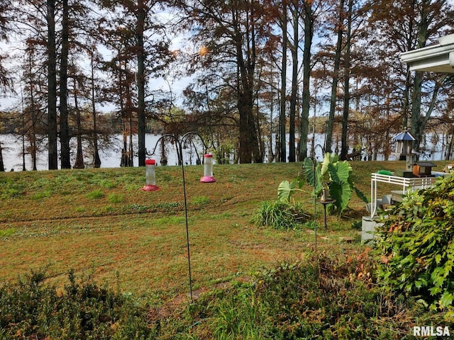 20366 Noisy Goose Ln, Olive Branch, IL 62969 - view of yard with a water view