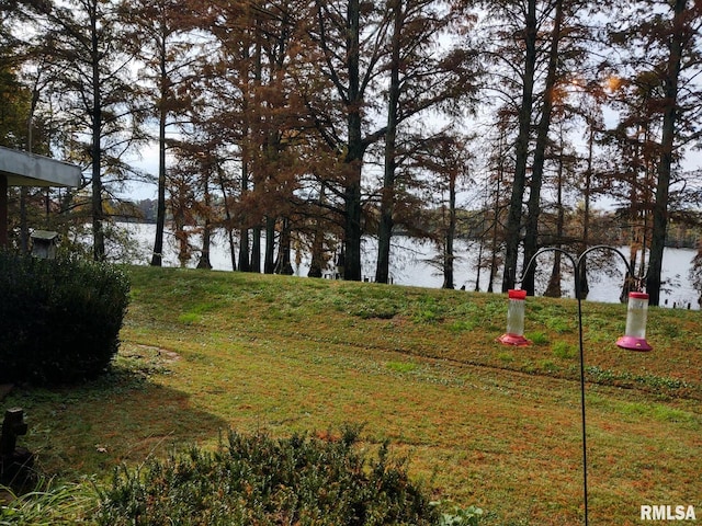 20366 Noisy Goose Ln, Olive Branch, IL 62969 - view of yard featuring a water view